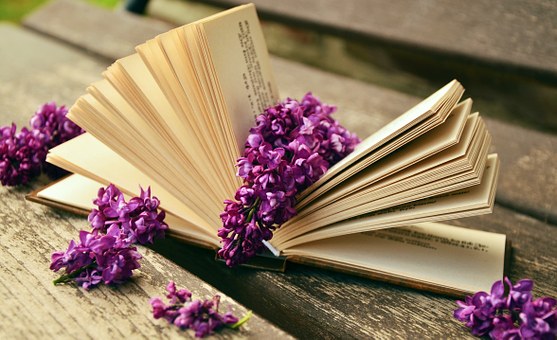 libro lilas